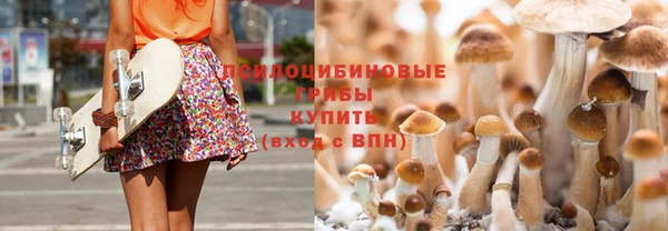 прущие крисы Богородицк
