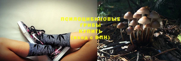 индика Богородск