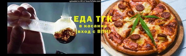 индика Богородск