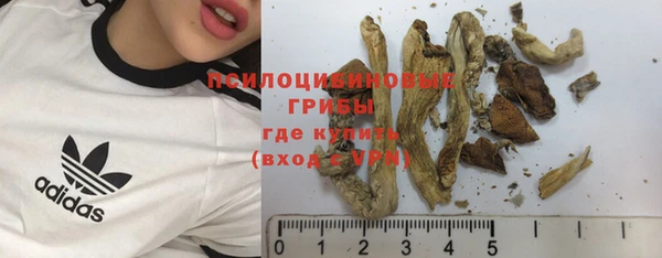 прущие крисы Богородицк