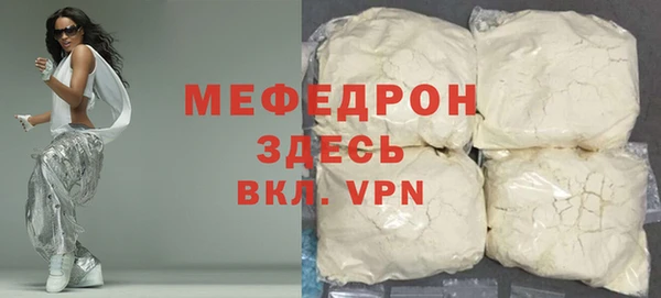 индика Богородск