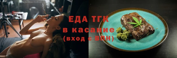 индика Богородск