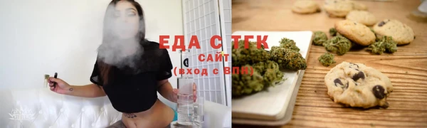 индика Богородск