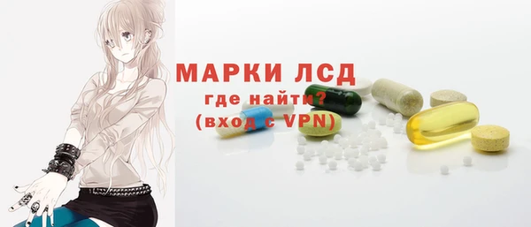 индика Богородск