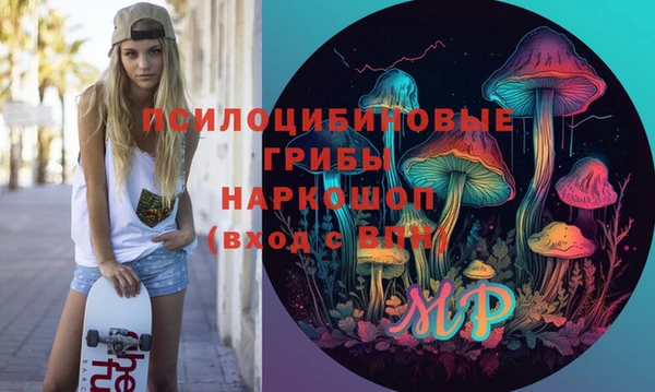 индика Богородск
