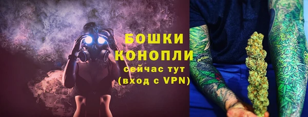 индика Богородск