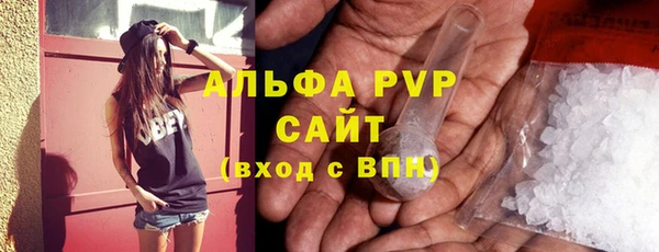 индика Богородск