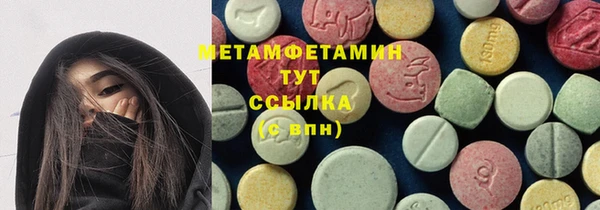 индика Богородск