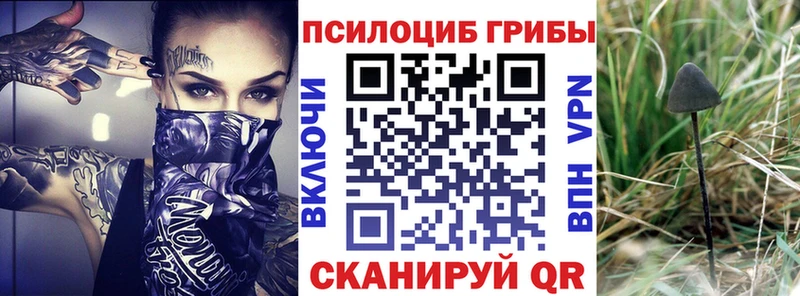 Галлюциногенные грибы мухоморы  Медногорск 